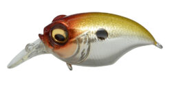 Megabass Griffon Bait Finesse SR-X | Crankbait