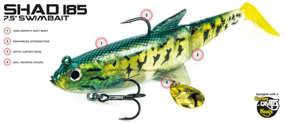 Molix Shad 185 - Rudd