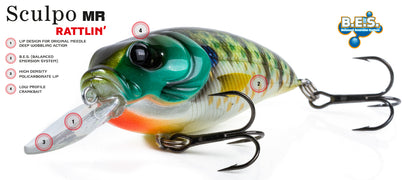 Molix Sculpo MR Rattlin 5,5cm 14g Crankbait