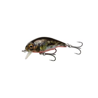 SAVAGE GEAR 3D Goby Crank SR 4cm 3g FLOATING